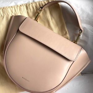 Like new Wandler Hortensia Mini in Skin